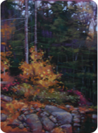 pastel painting, forest landscape, autumn